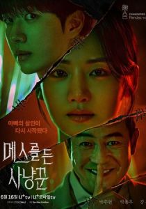 сериал Охотник со скальпелем (2025)