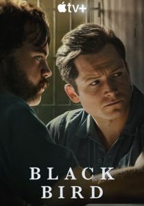 сериал Чёрная птица (2022)