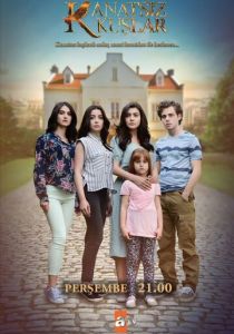 сериал Птицы без крыльев (2017)