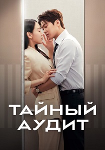 Тайный аудит (2026) онлайн